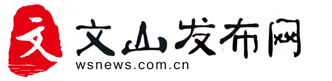 文山新闻网